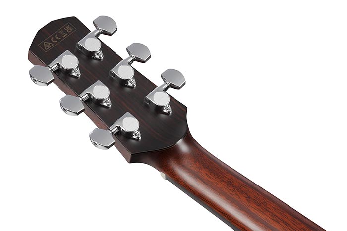 Back of the AAM700CE-NT's headstock