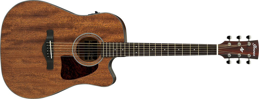 ARTWOOD Traditional Acoustic Electric