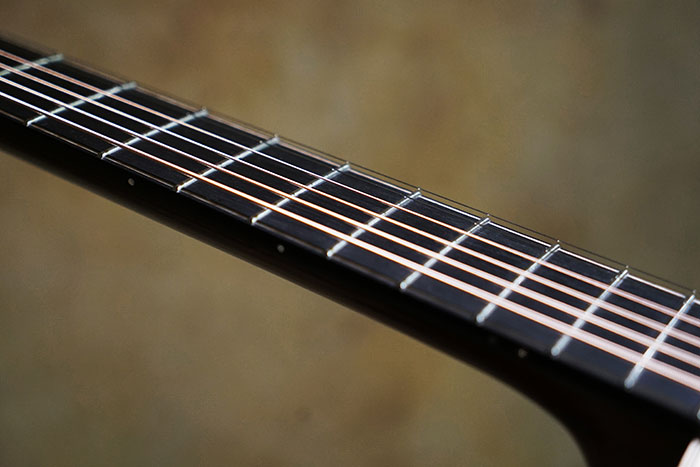 Ebony fretboard and bridge