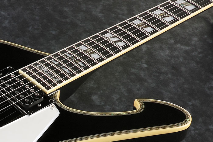 Ebony Fretboard