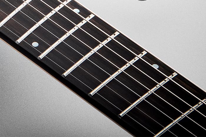 Ebony fretboard