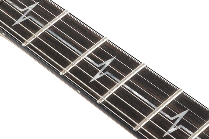 Ebony fretboard