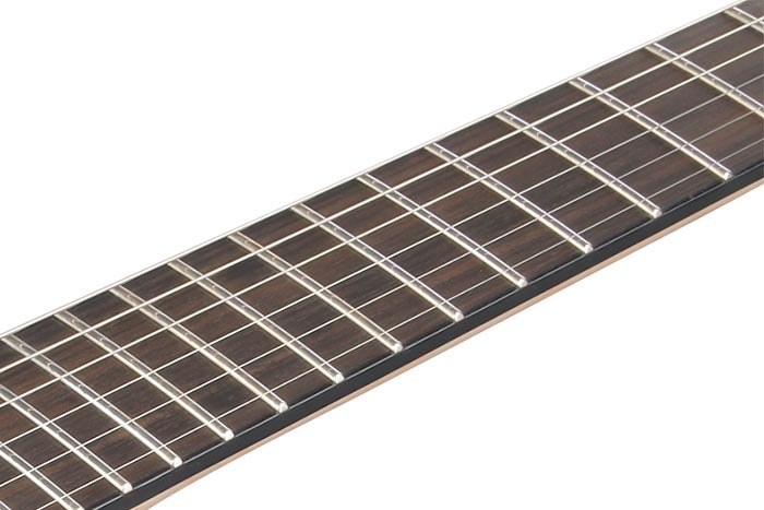 Ebony fretboard