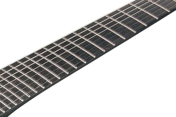 Ebony fretboard