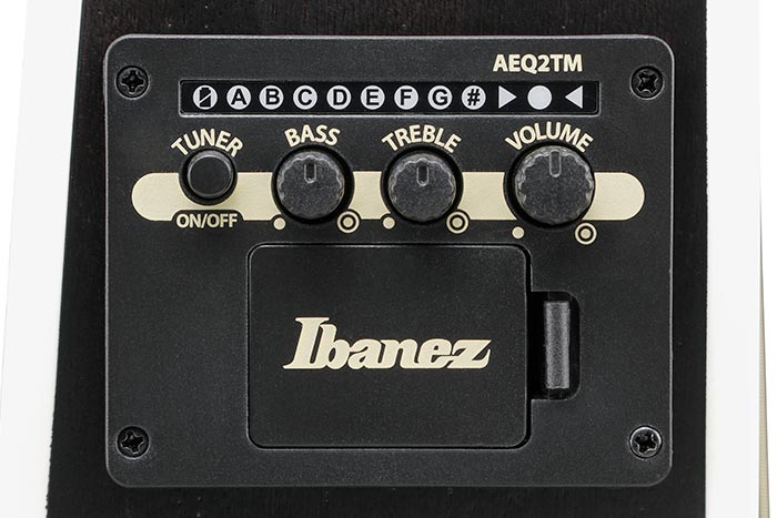 Ibanez AEQ-2TM preamp w/Onboard tuner
