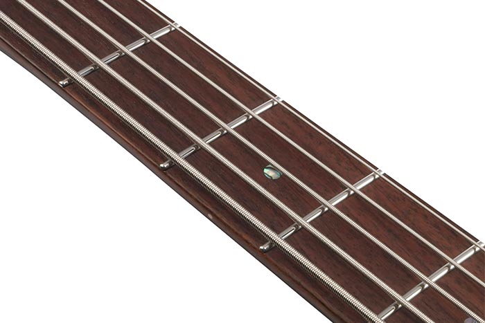 Rosewood fretboard
