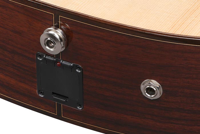 Dual Outputs (Undersaddle/Contact pickup outputs)