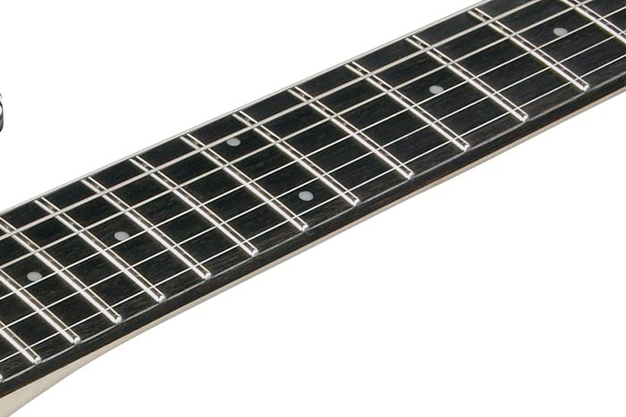 Ebony fretboard