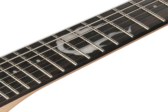 Ebony fretboard