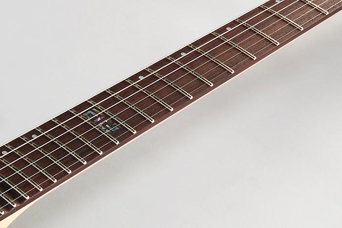 Rosewood fretboard