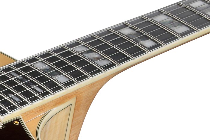 Ebony fretboard