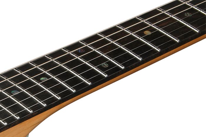 Ebony fretboard