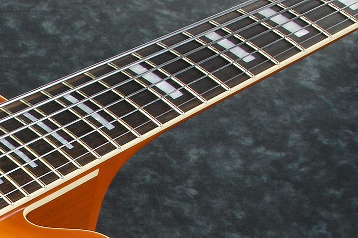 Rosewood fretboard