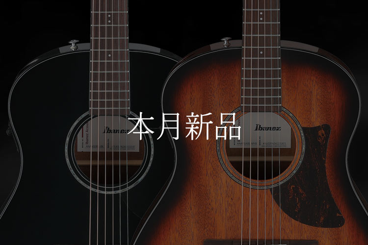 本月新品