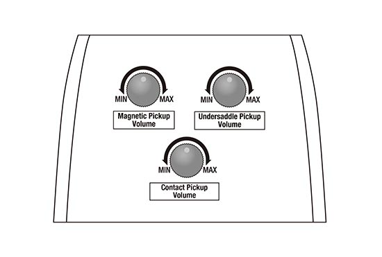 PA300E's preamp diagram