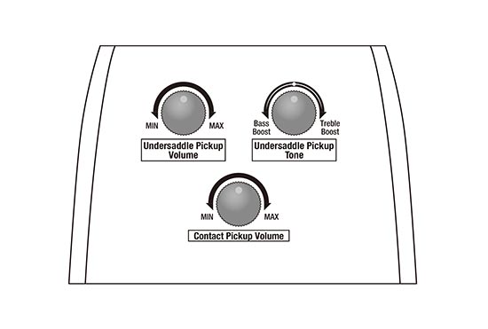 AAM700CE's preamp diagram