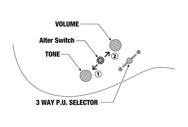 AZS2200's control diagram