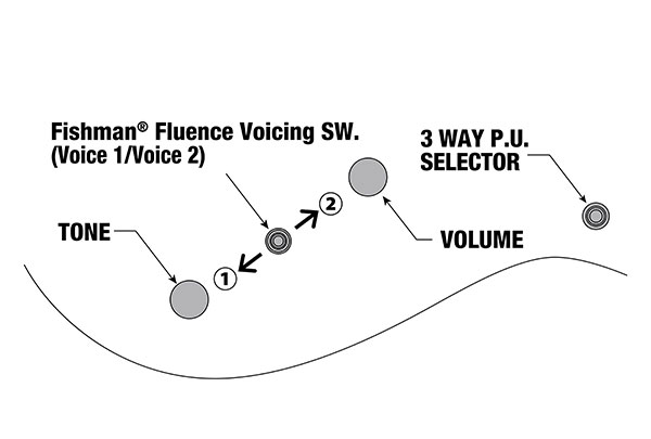 RGD3121's control diagram