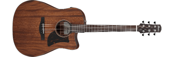 Advanced Acoustic | PRODUCTS | Ibanez guitars