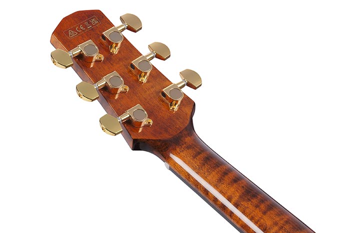 Back of the AAD381CE-NT's headstock