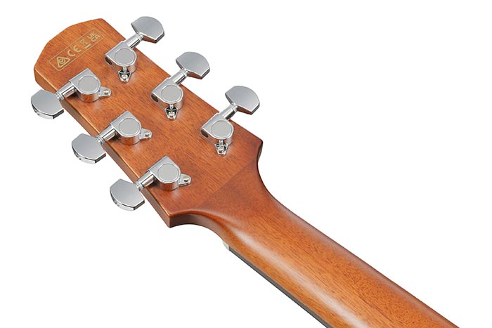Back of the AAD51CE-DVS's headstock