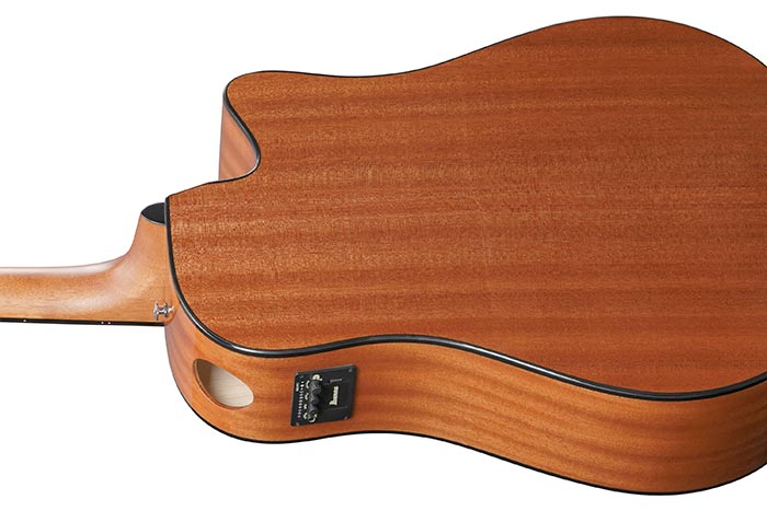 Back of the AAD51LCE-DVS's body