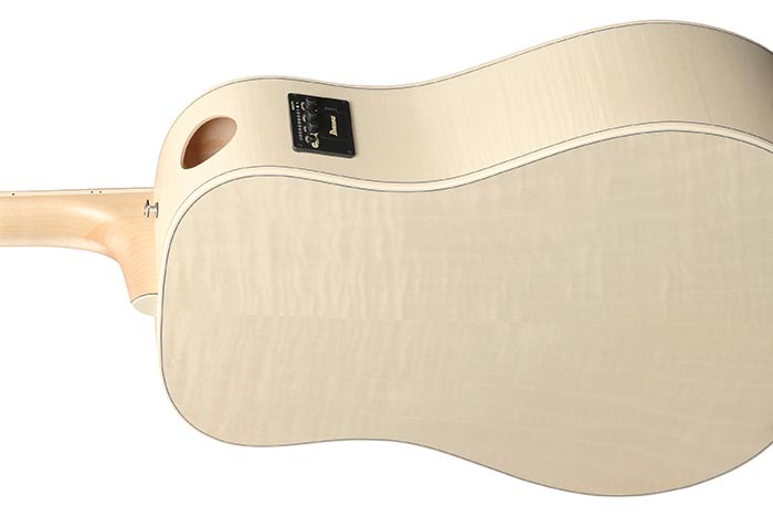 Back of the AAD77M1E-OAW's body