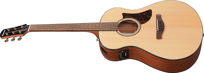 Entire top of the  AAM100E-NT