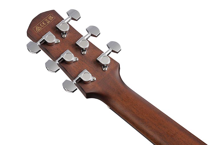 Back of the AAM300CE-NT's headstock