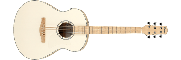 p_region_AAM370E_OAW_5U_03.png p_region_AAM370E_OAW_5U_03.png