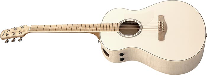 Entire top of the  AAM370E-OAW