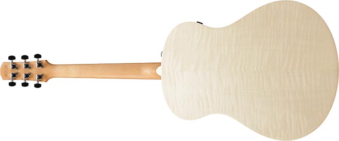 Entire back of the  AAM370E-OAW