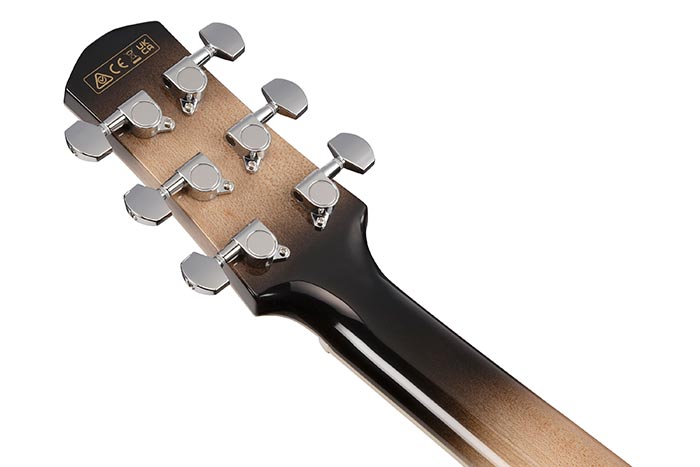 Back of the AAM370M1CE-TPA's headstock