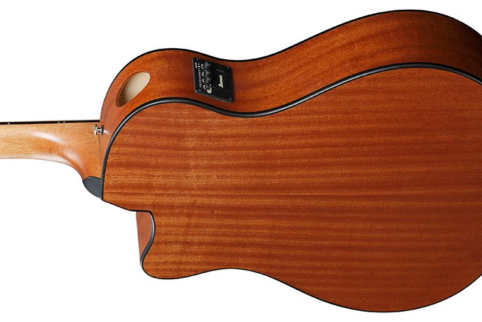 Back of the AAM50CE-CRO's body