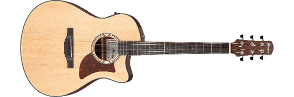 Ibanez エレキギター アイバニーズ AAM50CE | Advanced Acoustic | ACOUSTIC GUITARS | PRODUCTS