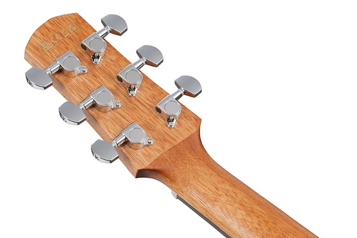 Back of the AAM50CE-OPN's headstock