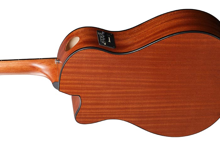 Back of the AAM50CE-OPN's body