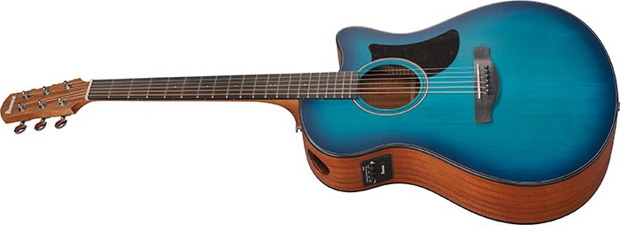 Entire top of the  AAM50CE-SBO