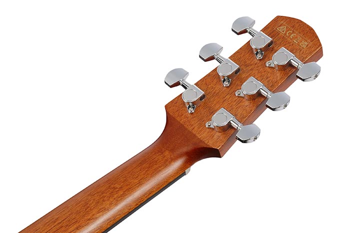 Back of the AAM50LCE-OLB's headstock