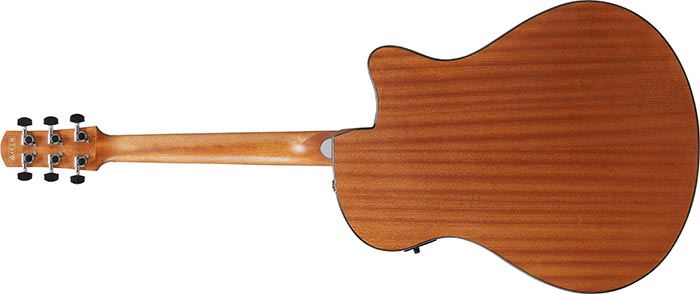 Entire back of the  AAM50LCE-OLB