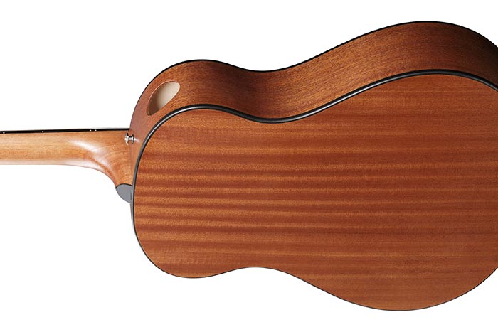 Back of the AAM50-OPN's body