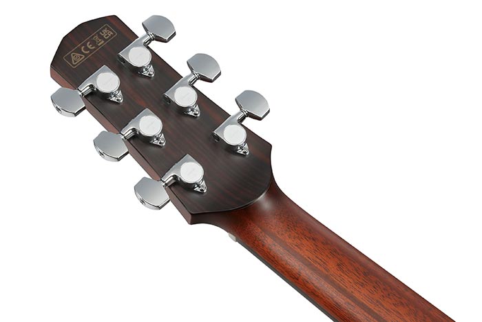 Back of the AAM700CE-NT's headstock
