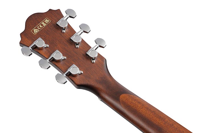 Back of the AE100-BUF's headstock