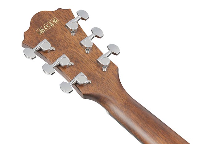 Back of the AE100-BUF's headstock