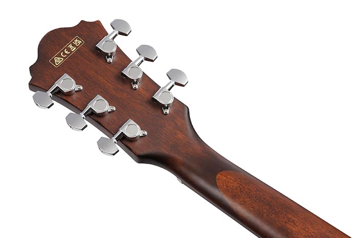 Back of the AE100-DBF's headstock
