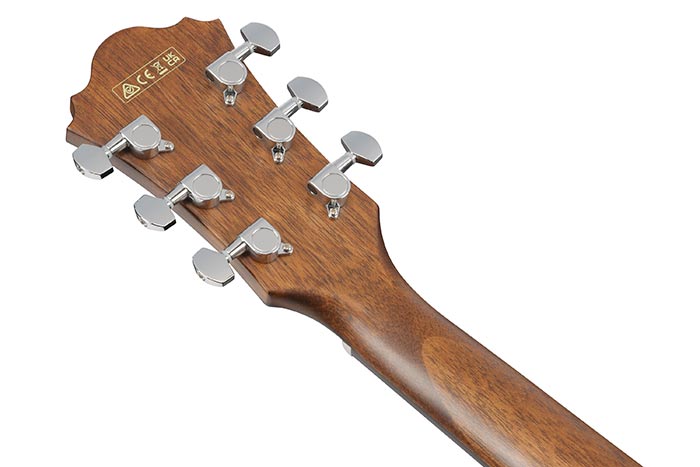 Back of the AE100-DBF's headstock