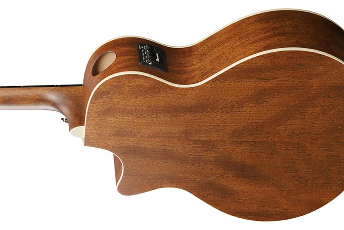 Back of the AE100-DBF's body