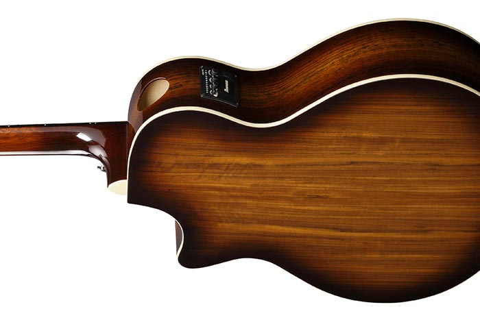 Back of the AE160-VMS's body