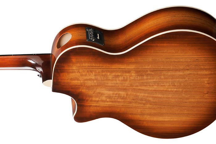 Back of the AE160-VMS's body