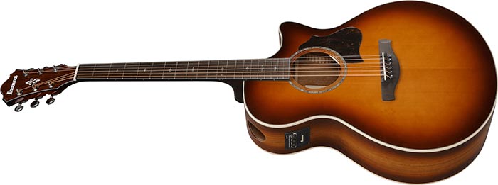 Entire top of the  AE160-VMS